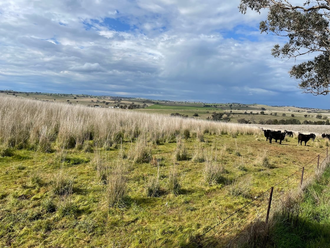 August Newsletter: Science direct to the front gate