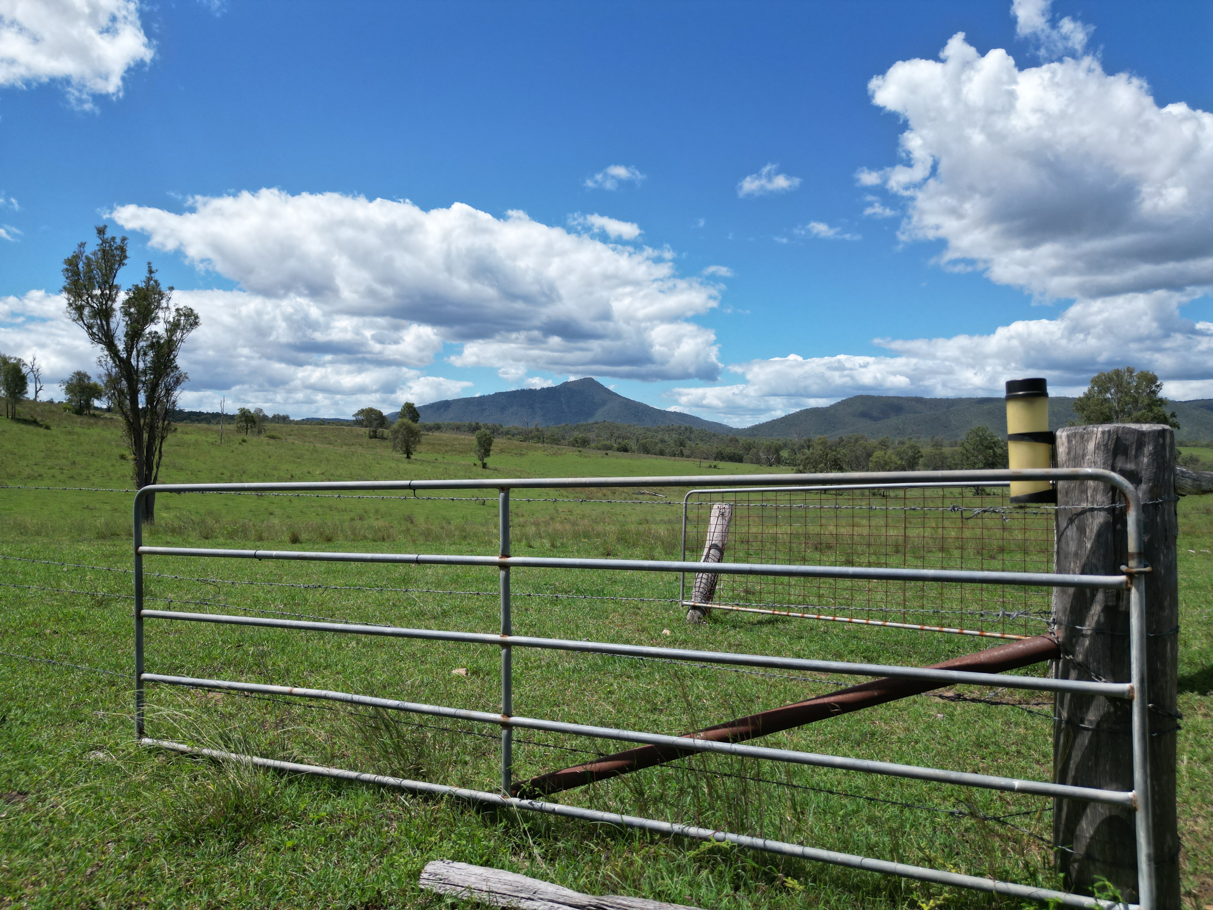 Using AFM and PastureKey Together for Smarter Feedbase Decisions