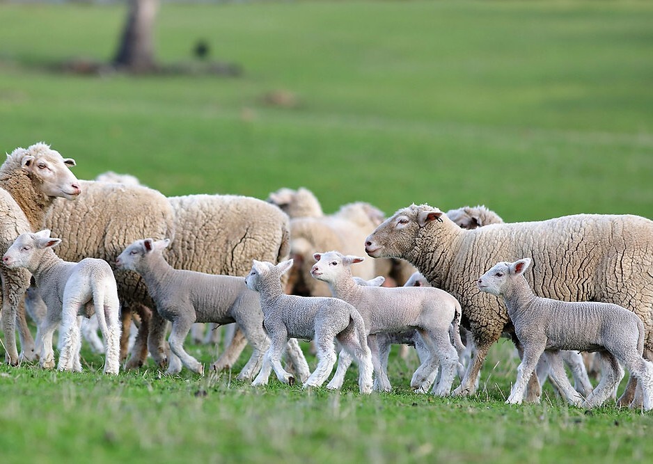 Have You Started Preparing for Spring?