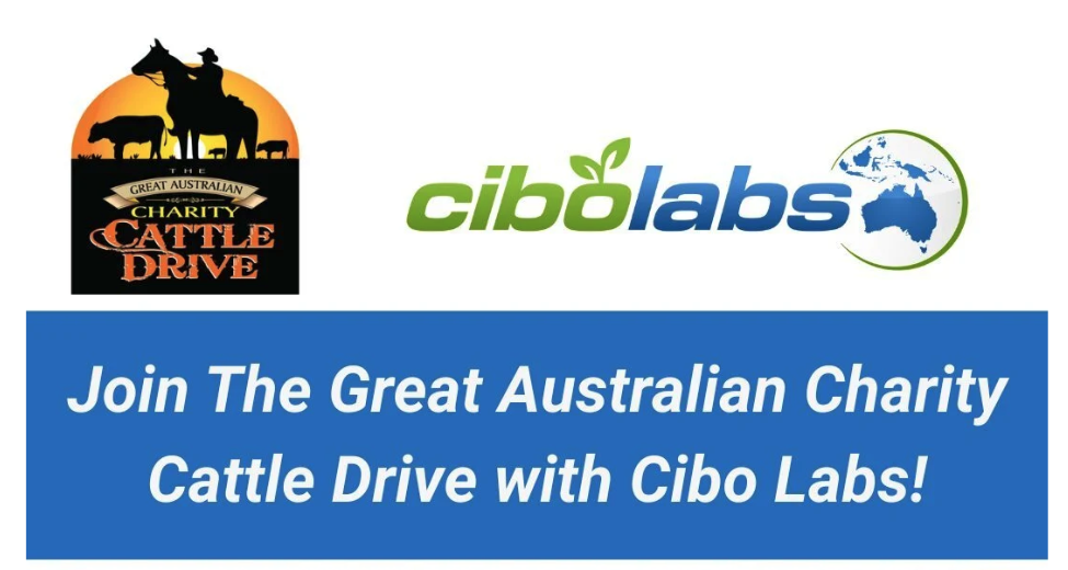 The Great Australian Charity Cattle Drive