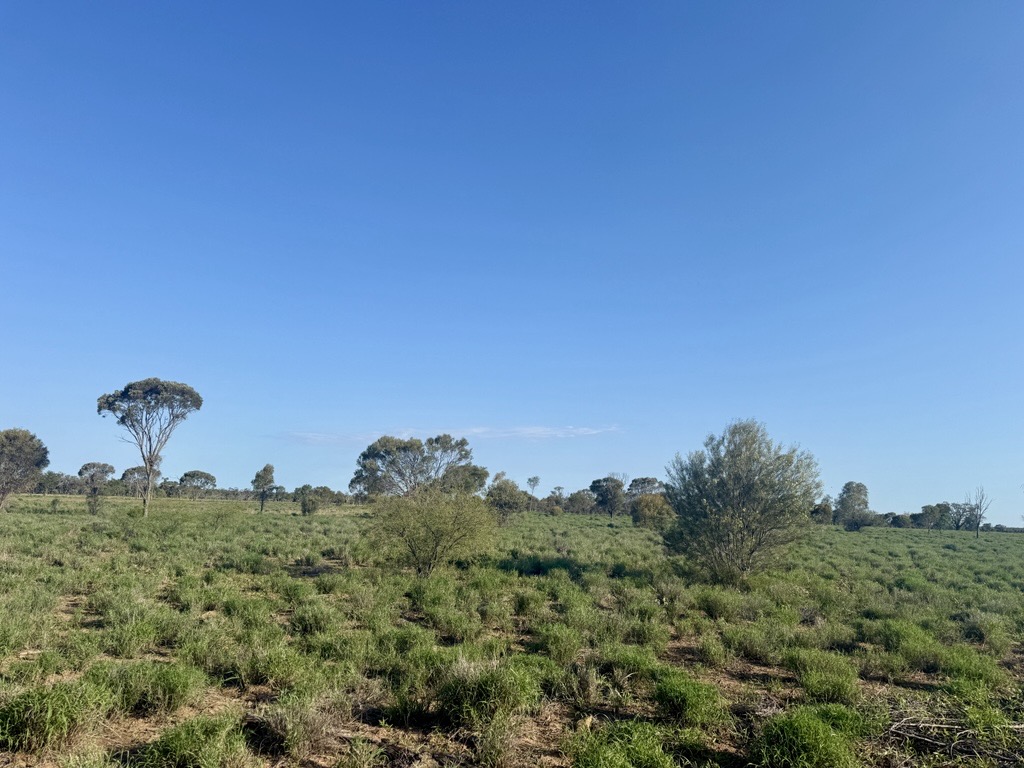October Newsletter: Science direct to the front gate