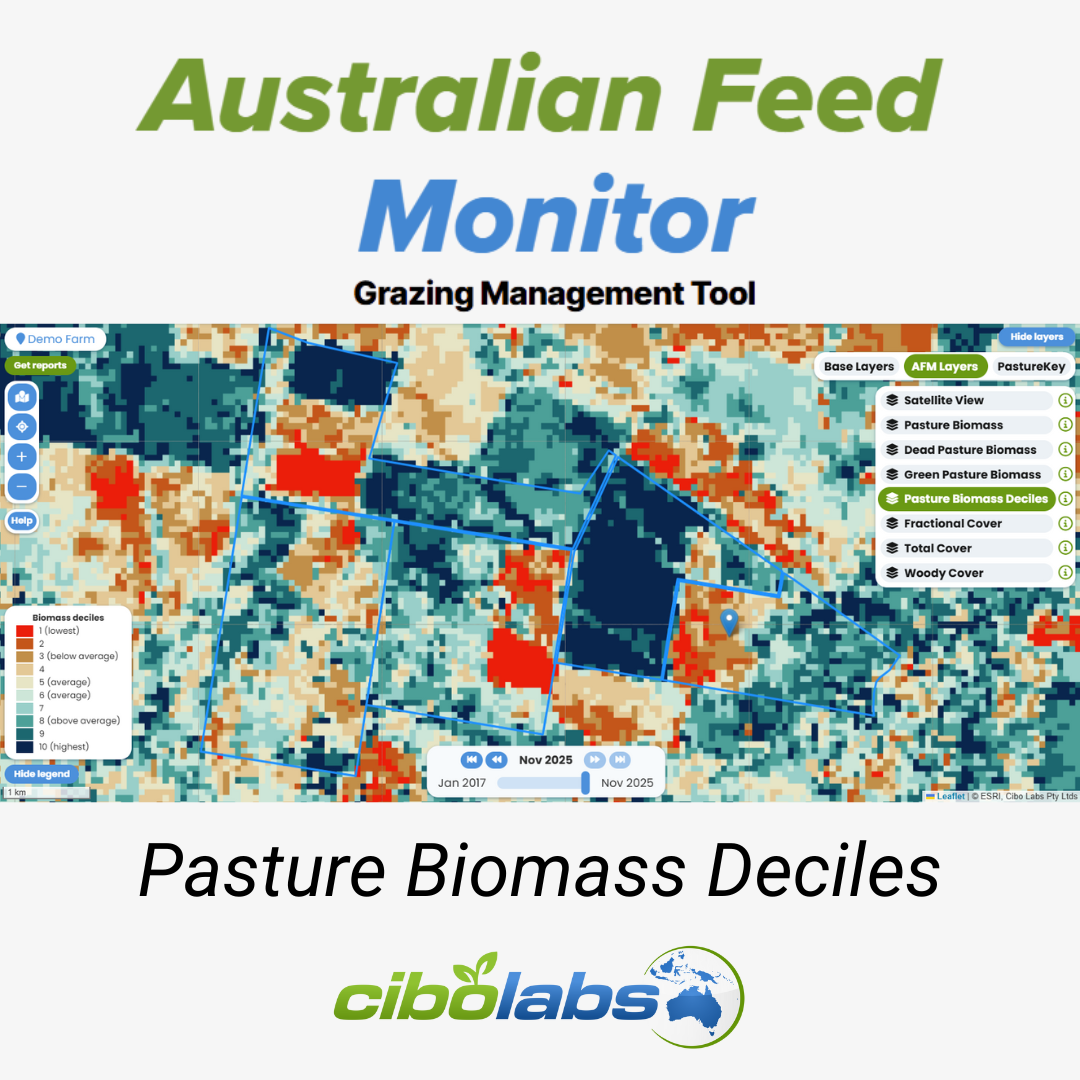 Decoding the season: Use Pasture Deciles for smarter grazing decisions