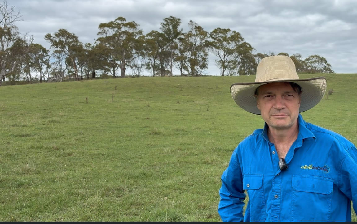 Straight from the Paddock - Nik Henry