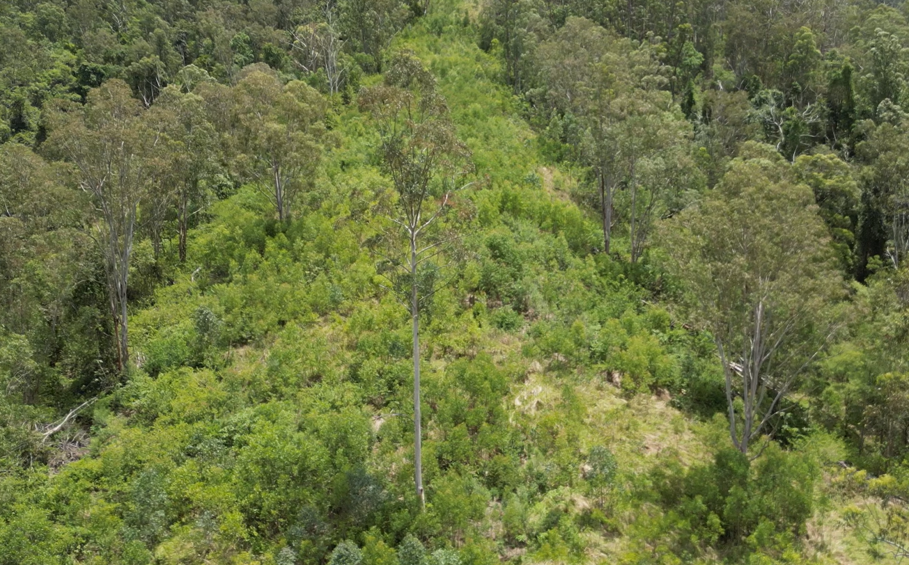 Stay Ahead of Market Access, Without Changing How You Farm