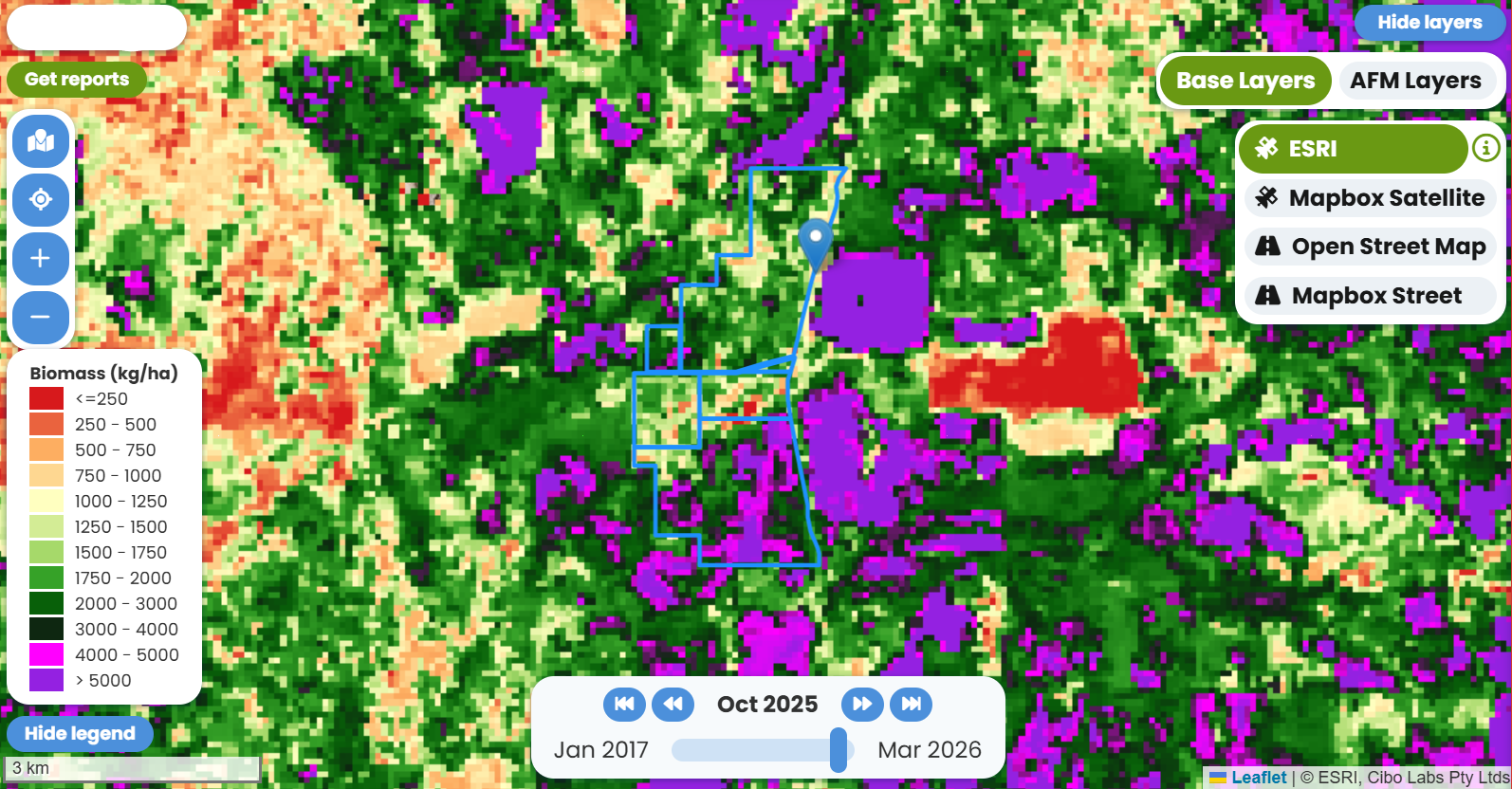 Producer Profile - Darryn Browne