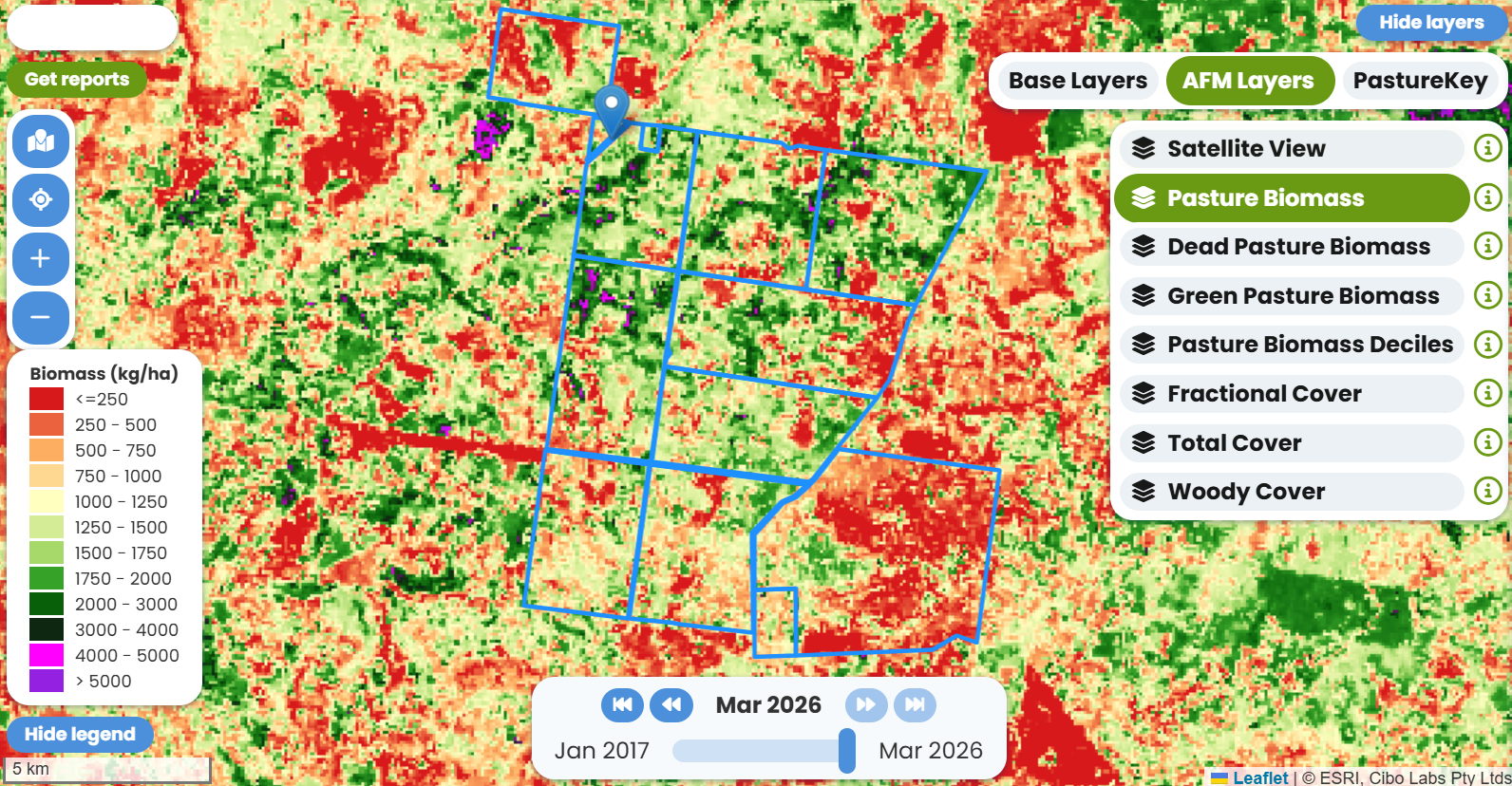 Producer Profile - Lauren Schelberg
