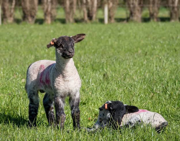 Five Mistakes Producers Make in Good Seasons (And How to Avoid Them)